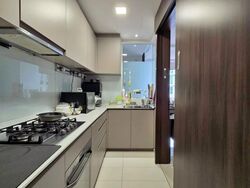 The Visionaire (D27), Condominium #502129081